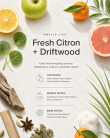 Fresh Citron + Driftwood scent breakdown: top notes Italian Lemon, Green Apple, Pink Grapefruit, Mandarin; middle notes Sea Breeze, Green Violet Leaves, Anise, Cardamom; base notes Cedarwood, Sandalwood, Patchouli, White Musk