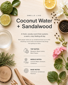 Coconut Water + Sandalwood scent breakdown: top notes Bergamot, Meyer Lemon, Black Pepper; middle notes Coconut Water, Geranium, Cardamom; base notes Cedarwood, Sandalwood, Patchouli