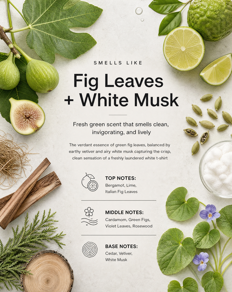 Fig Leaves + White Musk Fragrance